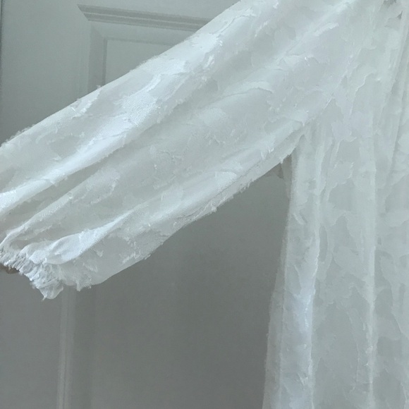 Sheer Zara Blouse - Picture 5 of 7